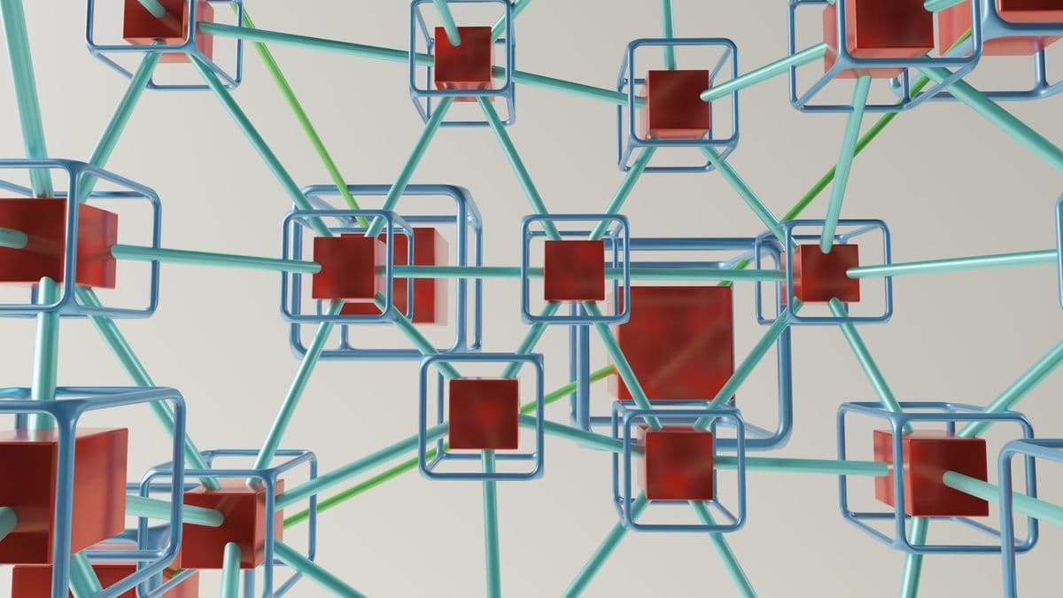 Le Bitcoin node : quels rôles au sein de la Blockchain Bitcoin ?